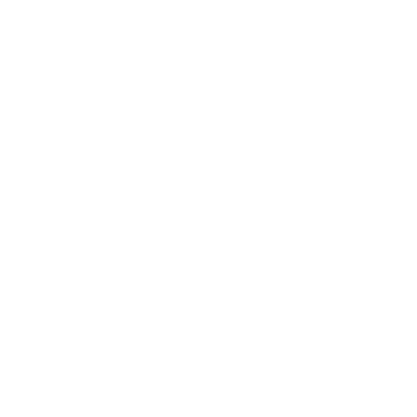 TezCita